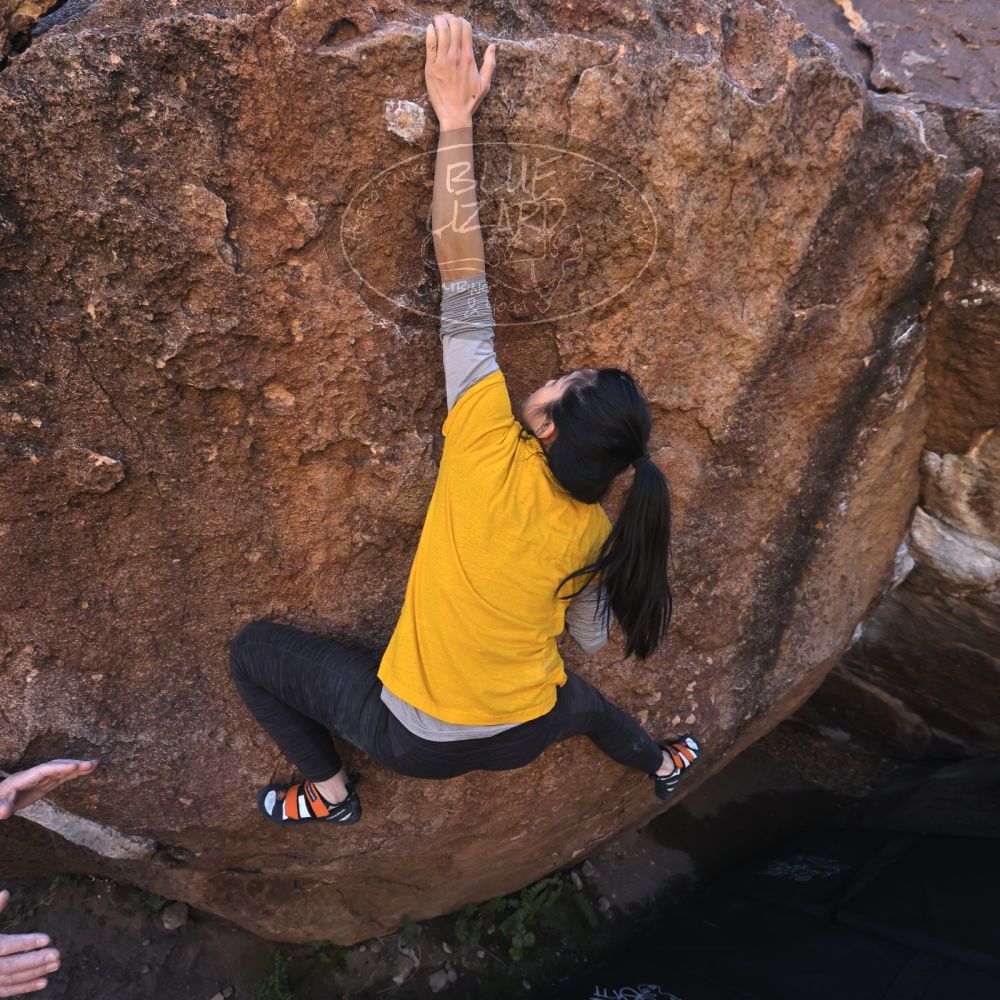 

Filename: SRM_20221127_1322243.jpg
Aperture: f/5.6
Shutter Speed: 1/500
Body: Canon EOS R6
Lens: Canon EF 16-35mm f/2.8 L