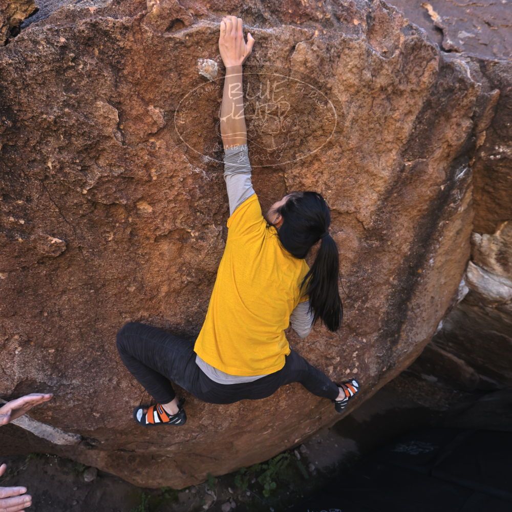 

Filename: SRM_20221127_1322250.jpg
Aperture: f/5.6
Shutter Speed: 1/500
Body: Canon EOS R6
Lens: Canon EF 16-35mm f/2.8 L