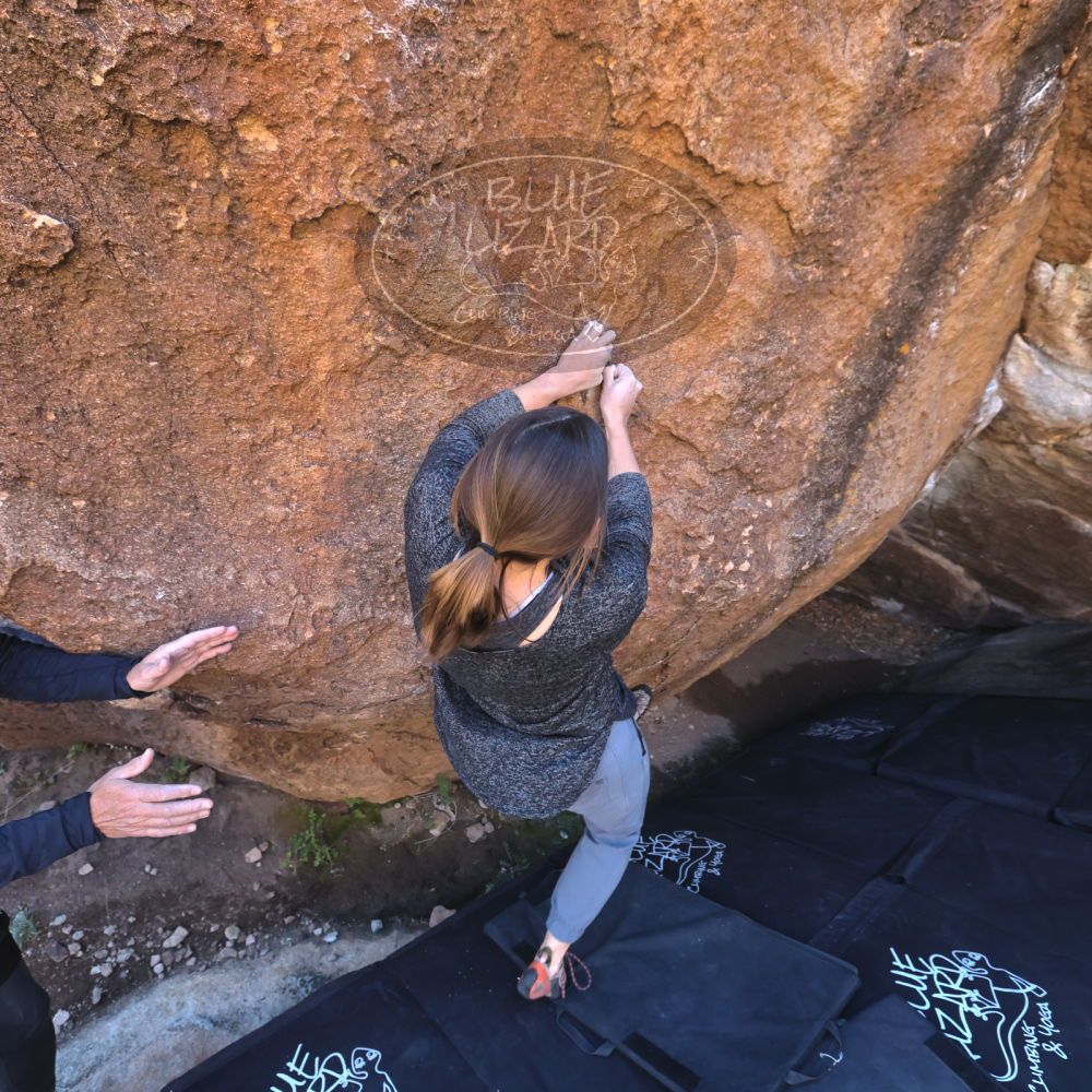 

Filename: SRM_20221127_1323451.jpg
Aperture: f/5.6
Shutter Speed: 1/500
Body: Canon EOS R6
Lens: Canon EF 16-35mm f/2.8 L