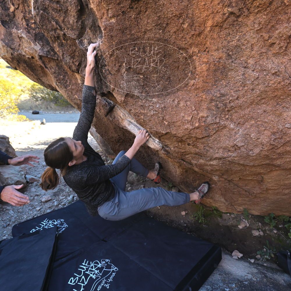 

Filename: SRM_20221127_1328360.jpg
Aperture: f/5.6
Shutter Speed: 1/500
Body: Canon EOS R6
Lens: Canon EF 16-35mm f/2.8 L