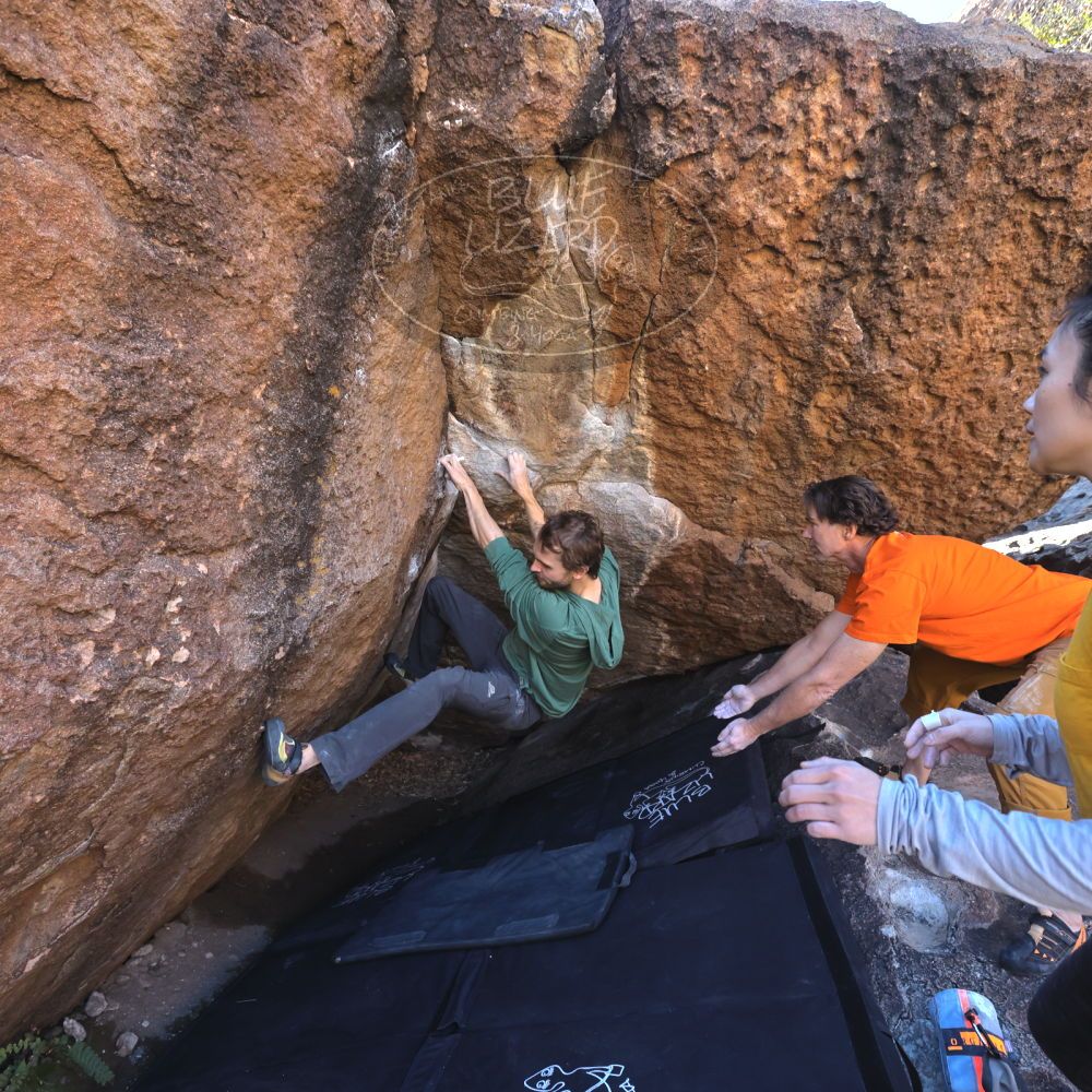 

Filename: SRM_20221127_1332300.jpg
Aperture: f/5.6
Shutter Speed: 1/500
Body: Canon EOS R6
Lens: Canon EF 16-35mm f/2.8 L