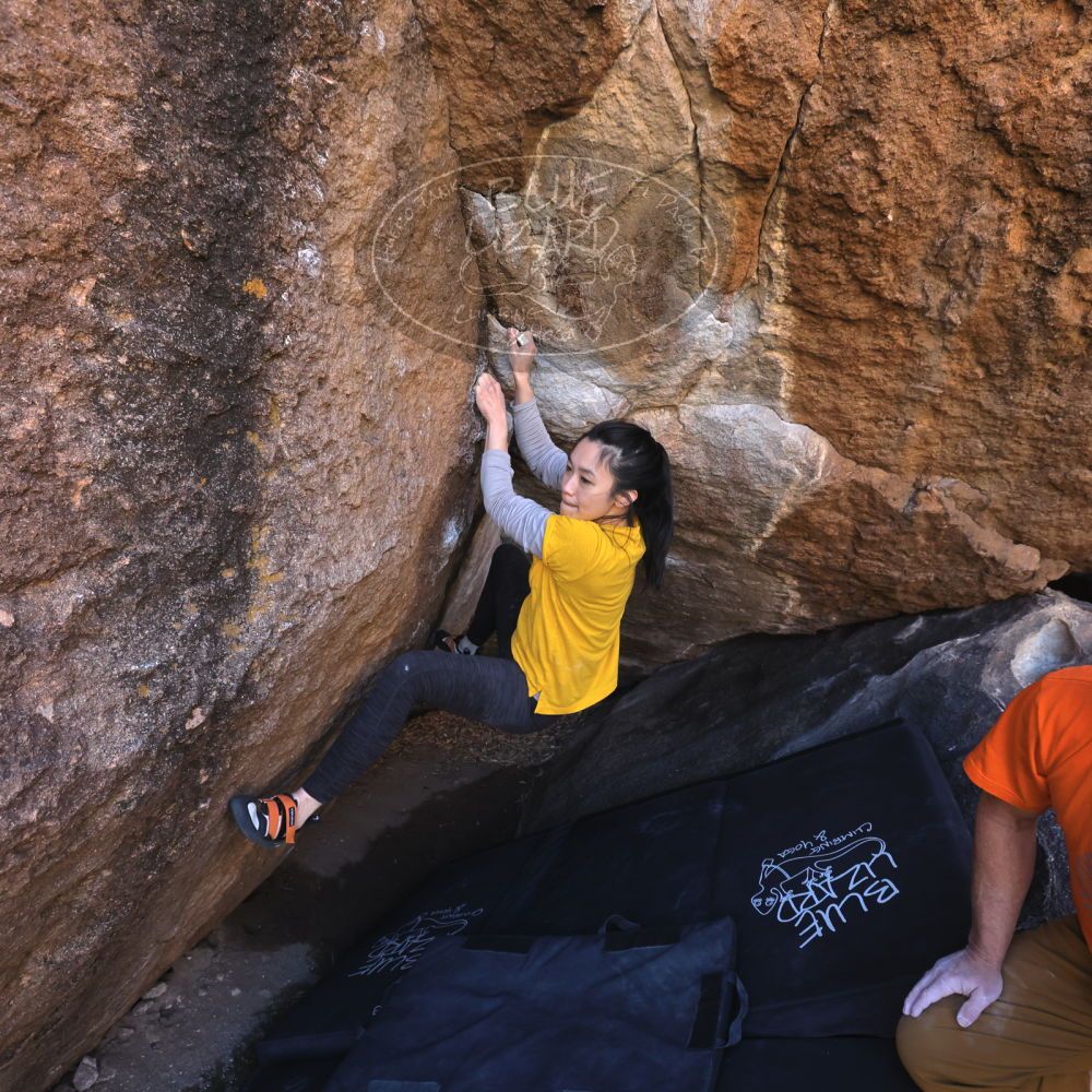 

Filename: SRM_20221127_1337480.jpg
Aperture: f/5.6
Shutter Speed: 1/500
Body: Canon EOS R6
Lens: Canon EF 16-35mm f/2.8 L