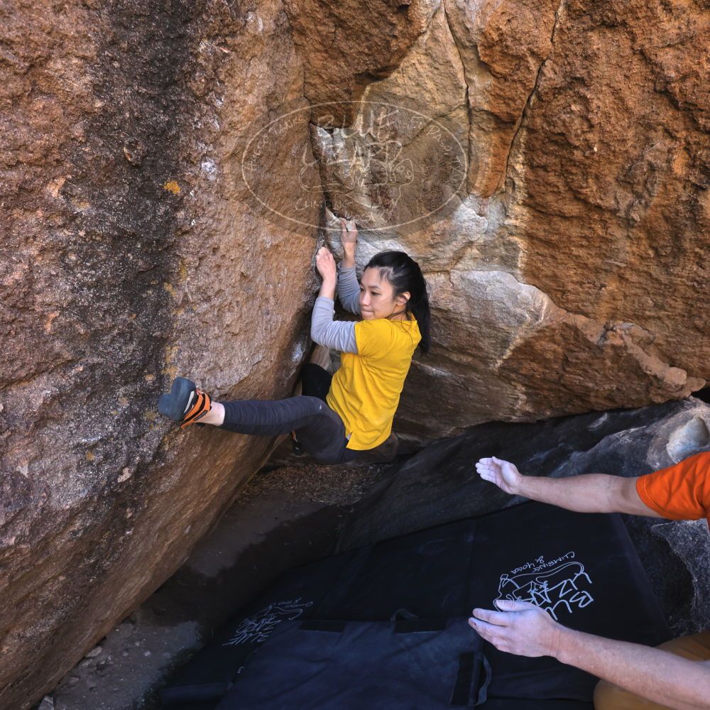 

Filename: SRM_20221127_1337490.jpg
Aperture: f/5.6
Shutter Speed: 1/500
Body: Canon EOS R6
Lens: Canon EF 16-35mm f/2.8 L