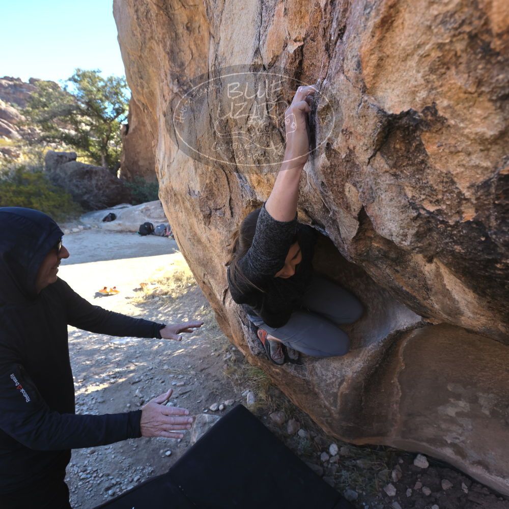 

Filename: SRM_20221127_1339020.jpg
Aperture: f/5.6
Shutter Speed: 1/500
Body: Canon EOS R6
Lens: Canon EF 16-35mm f/2.8 L