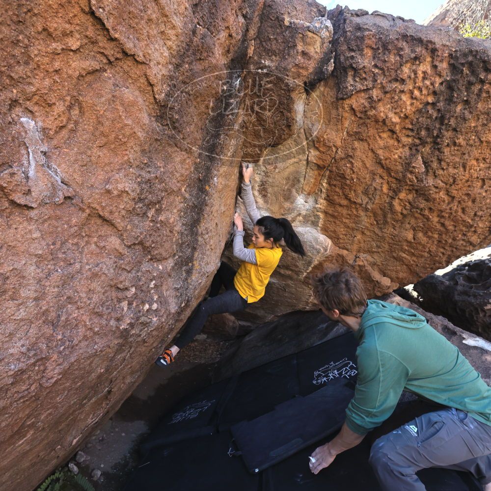 

Filename: SRM_20221127_1340000.jpg
Aperture: f/5.6
Shutter Speed: 1/500
Body: Canon EOS R6
Lens: Canon EF 16-35mm f/2.8 L