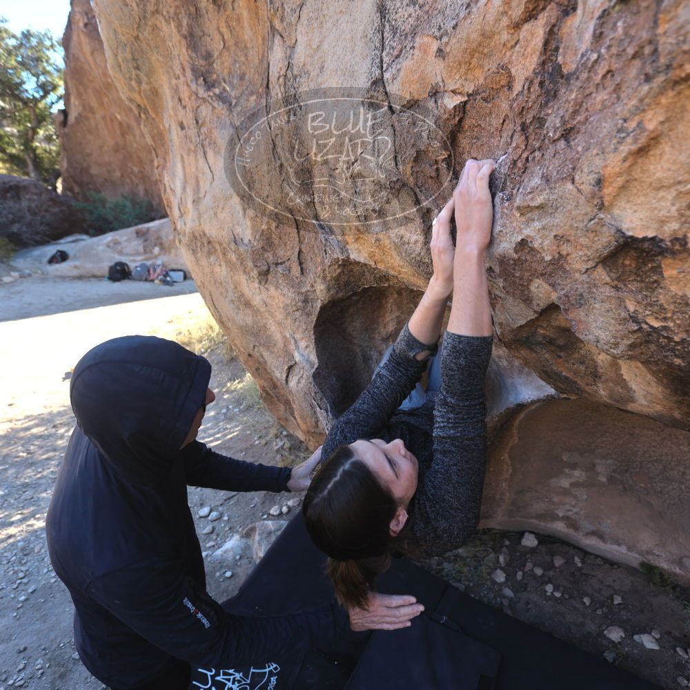 

Filename: SRM_20221127_1356490.jpg
Aperture: f/4.0
Shutter Speed: 1/250
Body: Canon EOS R6
Lens: Canon EF 16-35mm f/2.8 L