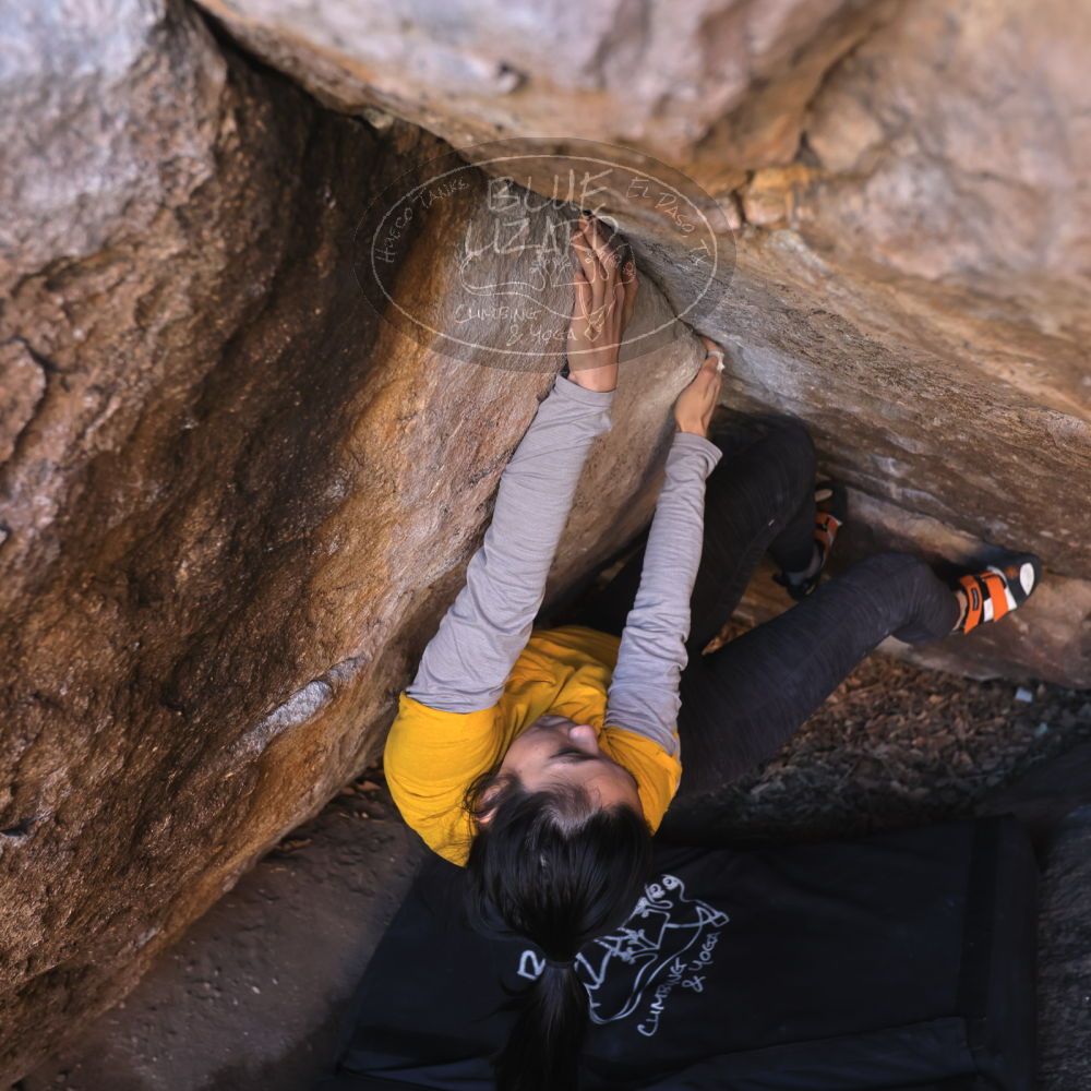 

Filename: SRM_20221127_1401180.jpg
Aperture: f/4.0
Shutter Speed: 1/250
Body: Canon EOS R6
Lens: Canon EF 16-35mm f/2.8 L