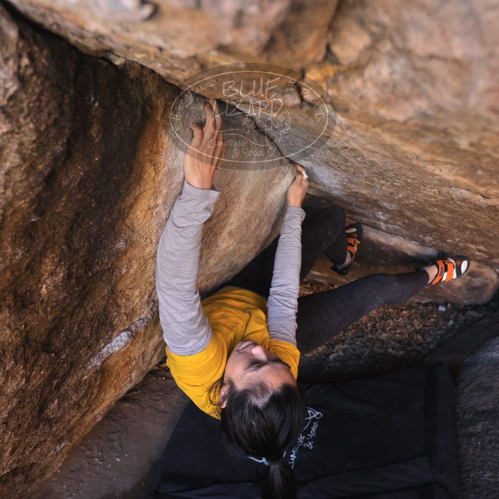 

Filename: SRM_20221127_1401220.jpg
Aperture: f/4.0
Shutter Speed: 1/250
Body: Canon EOS R6
Lens: Canon EF 16-35mm f/2.8 L