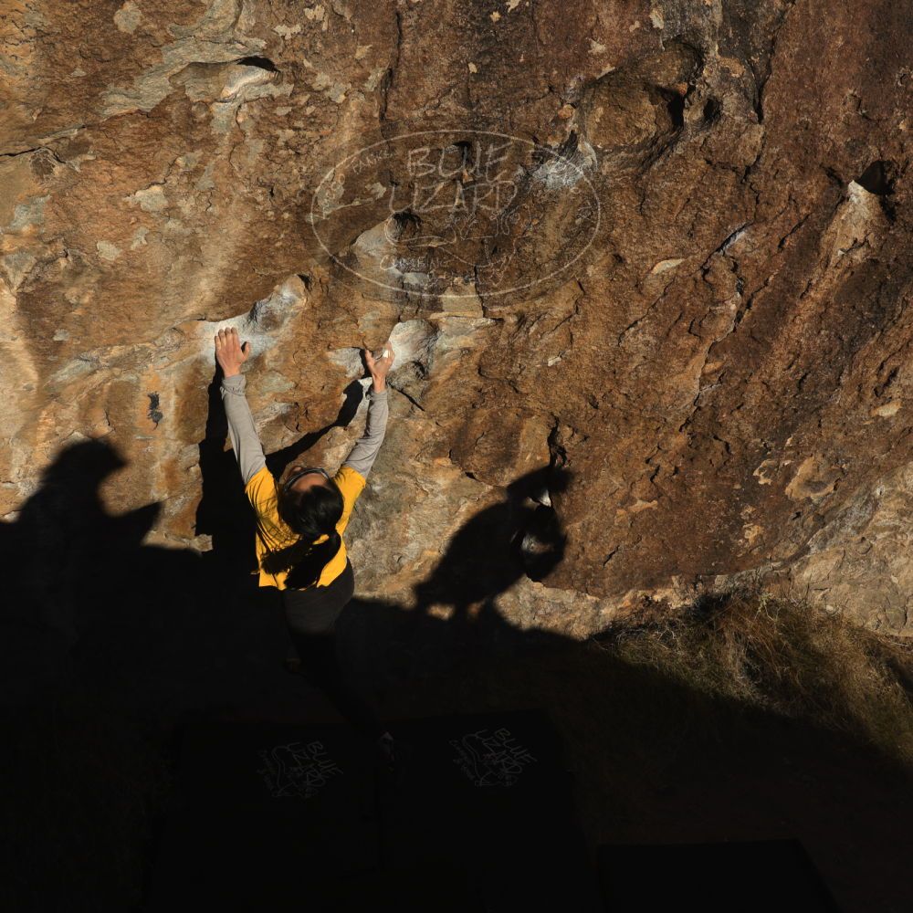 

Filename: SRM_20221127_1604230.jpg
Aperture: f/8.0
Shutter Speed: 1/1000
Body: Canon EOS R6
Lens: Canon EF 16-35mm f/2.8 L