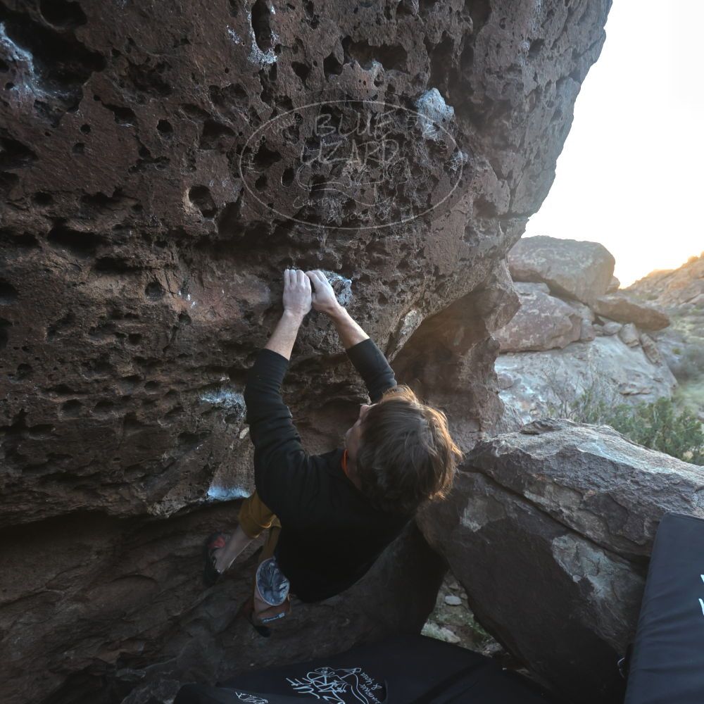 

Filename: SRM_20221127_1646020.jpg
Aperture: f/4.0
Shutter Speed: 1/320
Body: Canon EOS R6
Lens: Canon EF 16-35mm f/2.8 L