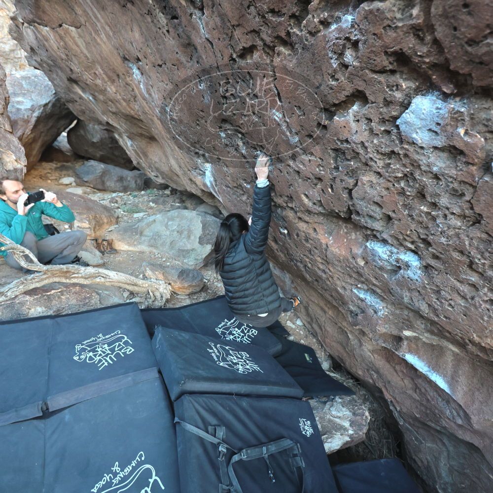 

Filename: SRM_20221127_1647250.jpg
Aperture: f/4.0
Shutter Speed: 1/320
Body: Canon EOS R6
Lens: Canon EF 16-35mm f/2.8 L