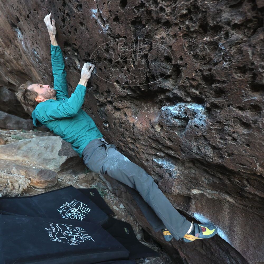 

Filename: SRM_20221127_1649520.jpg
Aperture: f/4.0
Shutter Speed: 1/320
Body: Canon EOS R6
Lens: Canon EF 16-35mm f/2.8 L