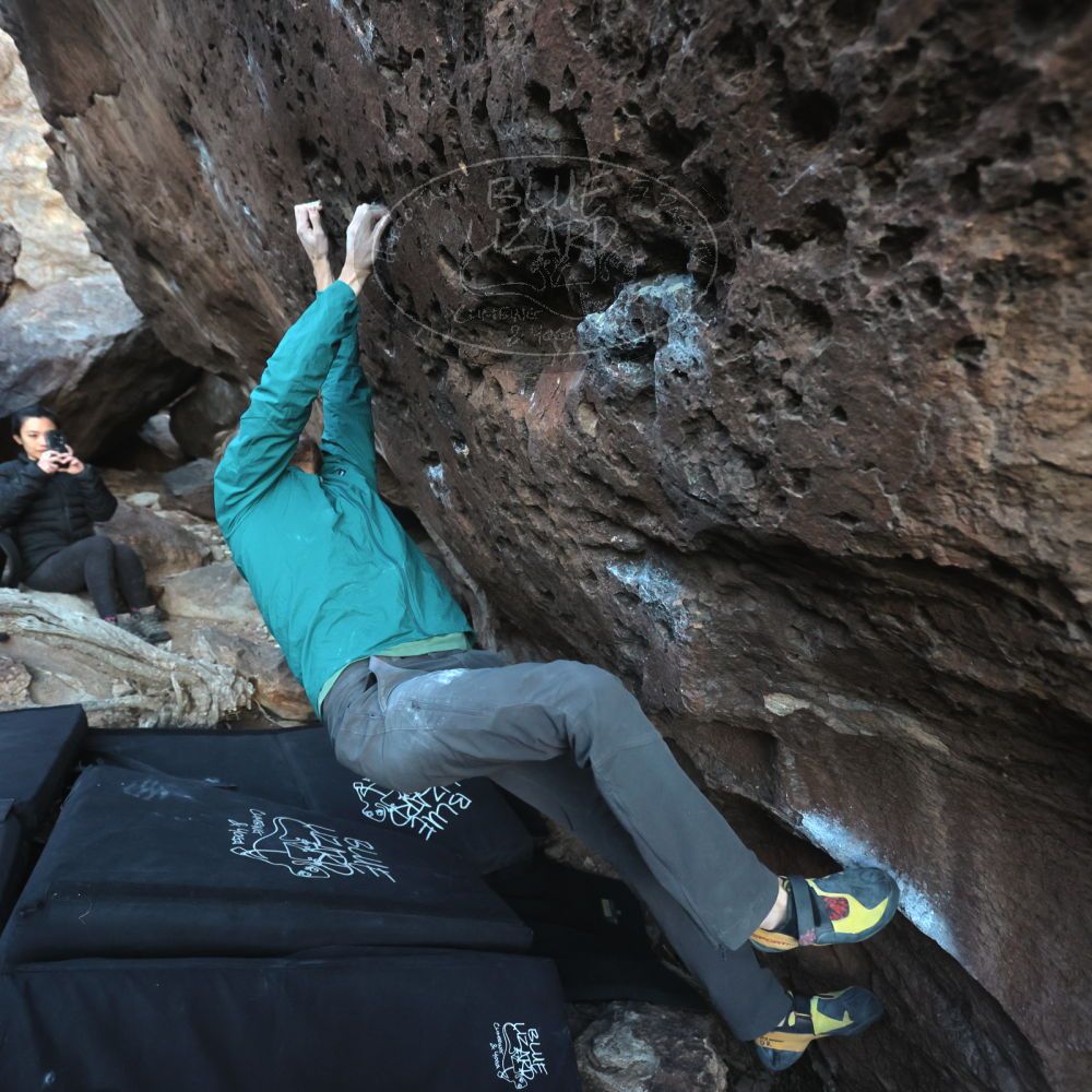 

Filename: SRM_20221127_1656560.jpg
Aperture: f/4.0
Shutter Speed: 1/320
Body: Canon EOS R6
Lens: Canon EF 16-35mm f/2.8 L