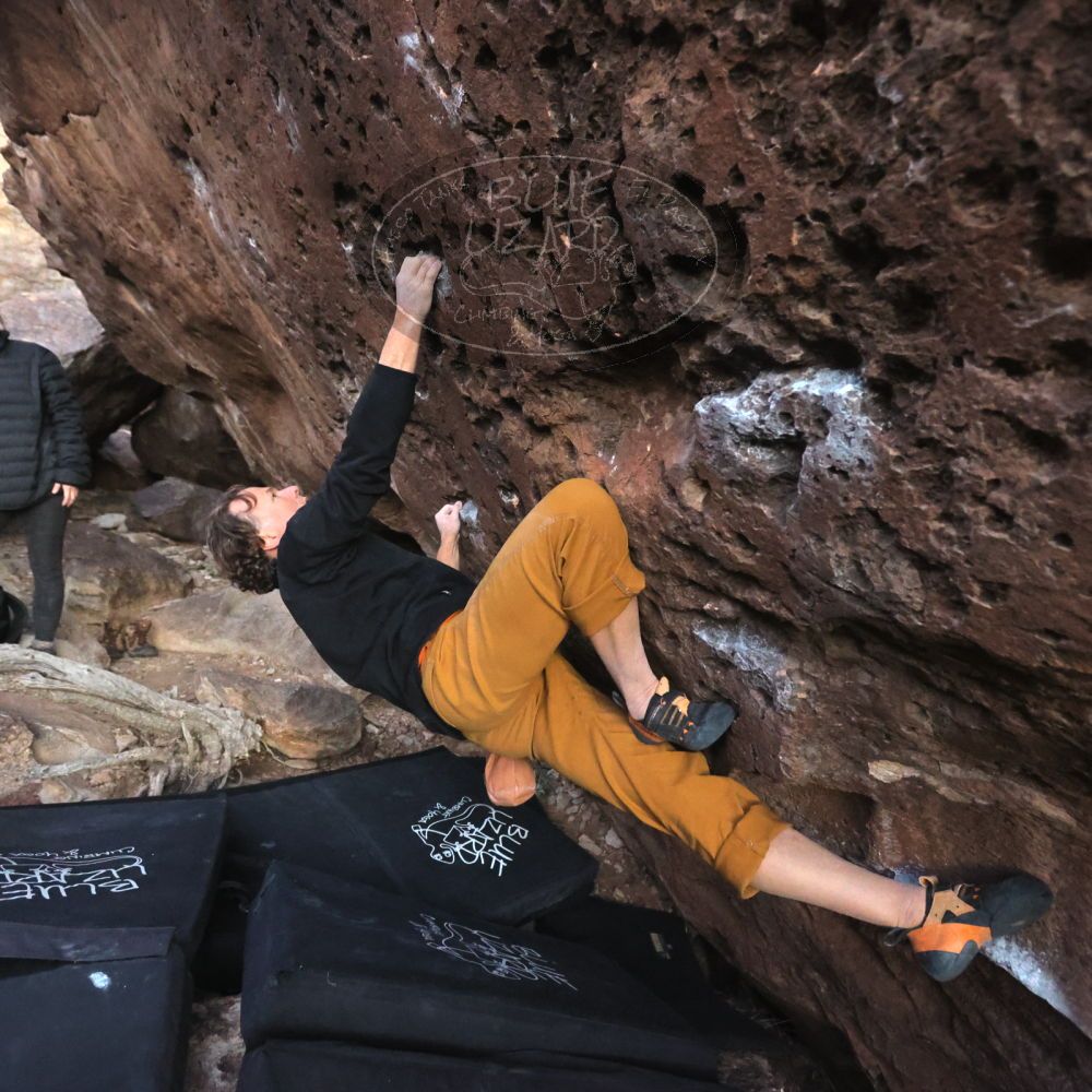 

Filename: SRM_20221127_1710270.jpg
Aperture: f/4.0
Shutter Speed: 1/320
Body: Canon EOS R6
Lens: Canon EF 16-35mm f/2.8 L