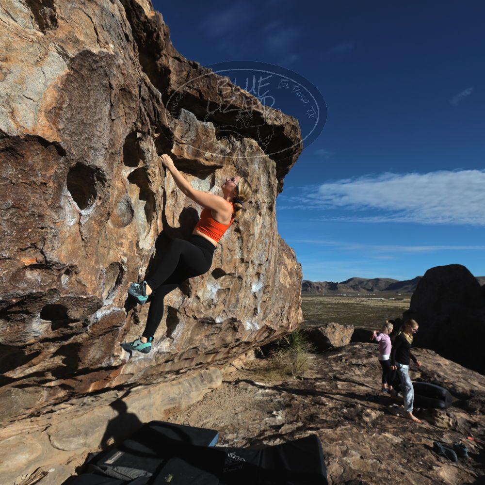 

Filename: SRM_20221203_0854340.jpg
Aperture: f/8.0
Shutter Speed: 1/1000
Body: Canon EOS R6
Lens: Canon EF 16-35mm f/2.8 L