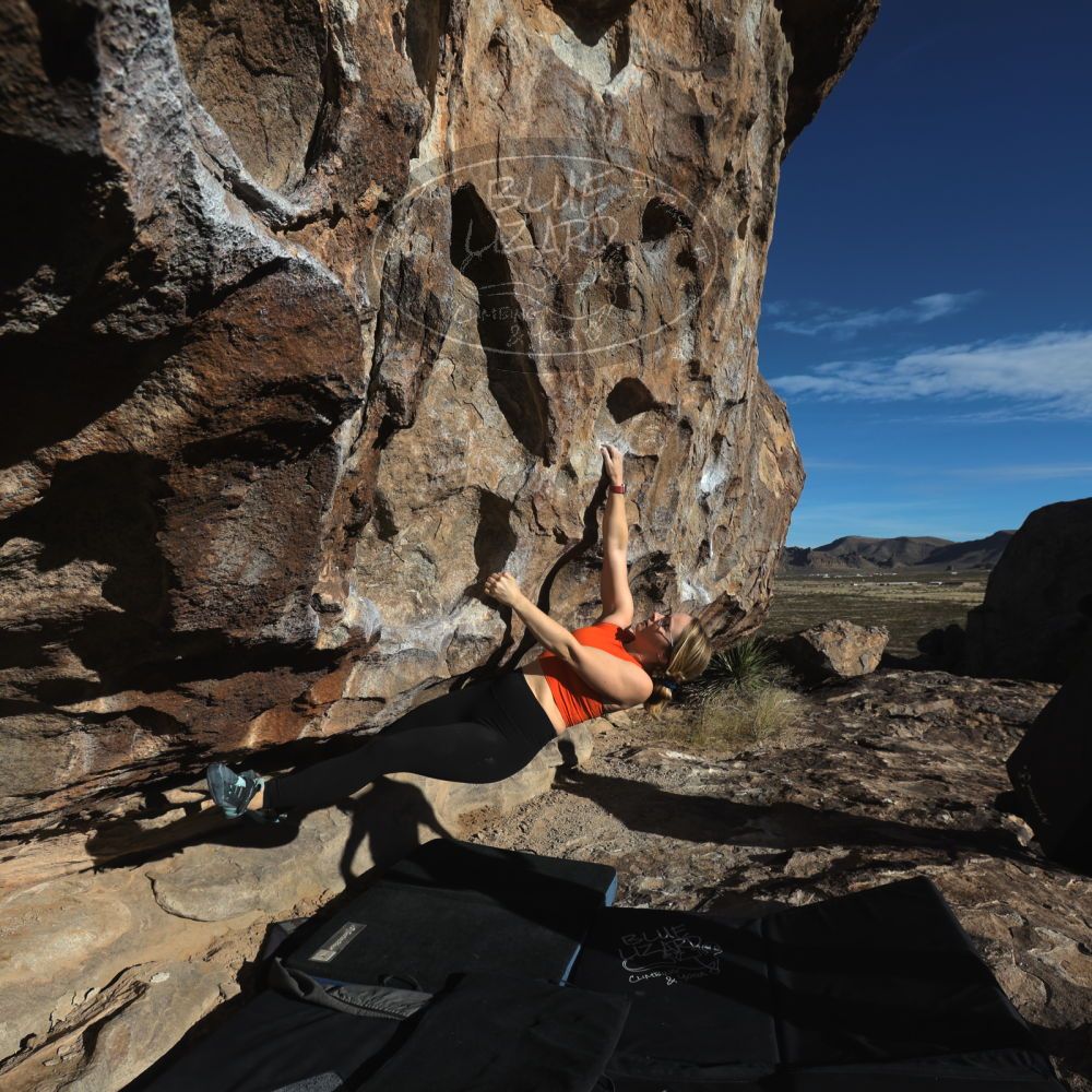 

Filename: SRM_20221203_0858200.jpg
Aperture: f/8.0
Shutter Speed: 1/1000
Body: Canon EOS R6
Lens: Canon EF 16-35mm f/2.8 L