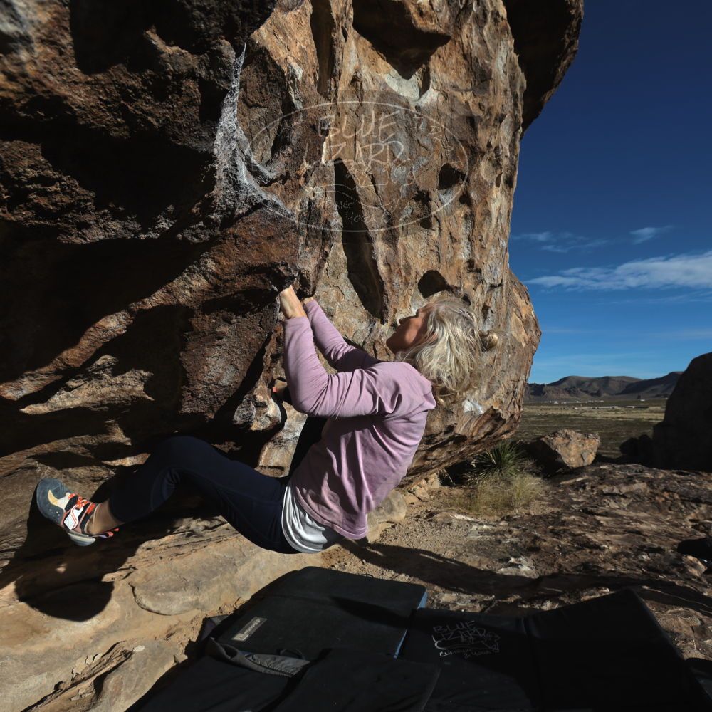 

Filename: SRM_20221203_0859240.jpg
Aperture: f/8.0
Shutter Speed: 1/1000
Body: Canon EOS R6
Lens: Canon EF 16-35mm f/2.8 L