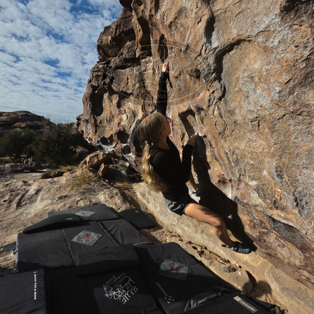 

Filename: SRM_20221203_0905430.jpg
Aperture: f/8.0
Shutter Speed: 1/1000
Body: Canon EOS R6
Lens: Canon EF 16-35mm f/2.8 L