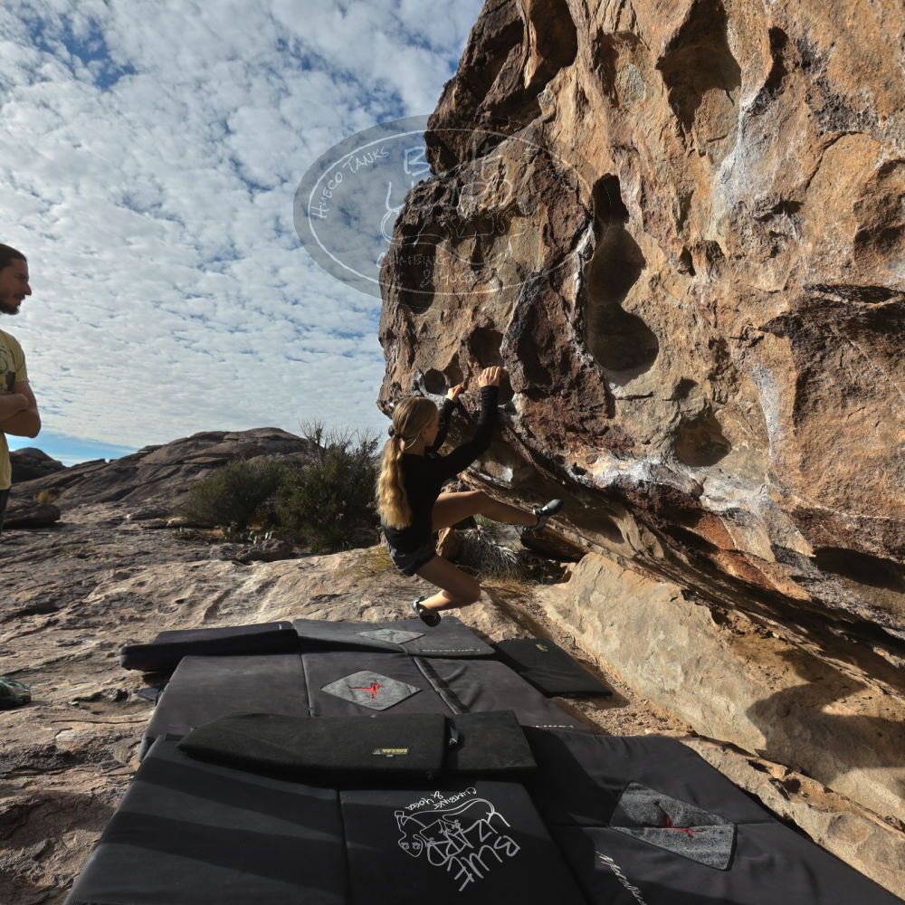 

Filename: SRM_20221203_0910431.jpg
Aperture: f/8.0
Shutter Speed: 1/1000
Body: Canon EOS R6
Lens: Canon EF 16-35mm f/2.8 L