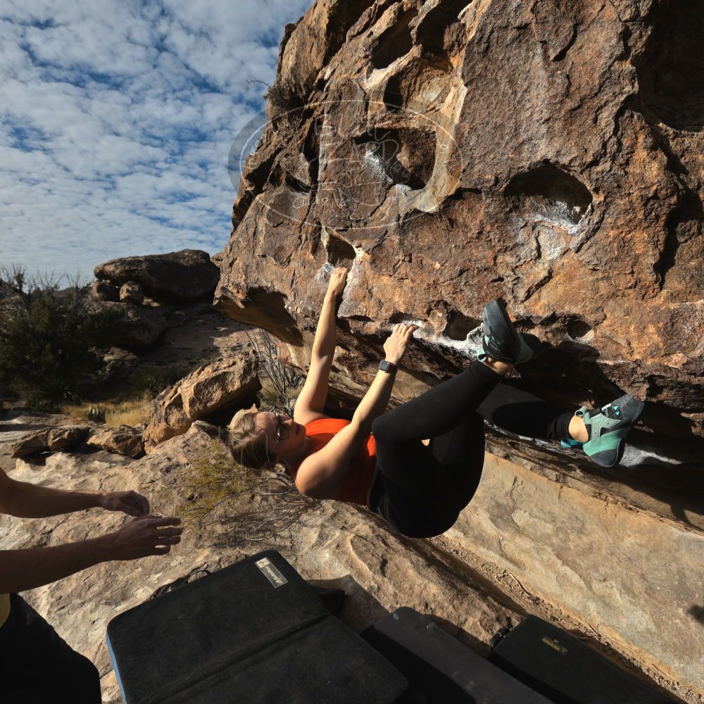 

Filename: SRM_20221203_0912170.jpg
Aperture: f/8.0
Shutter Speed: 1/1000
Body: Canon EOS R6
Lens: Canon EF 16-35mm f/2.8 L