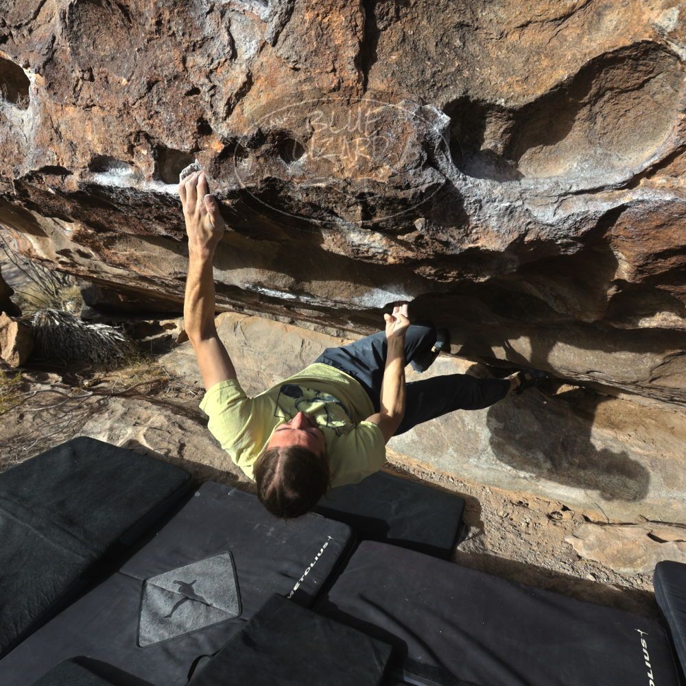 

Filename: SRM_20221203_0918340.jpg
Aperture: f/8.0
Shutter Speed: 1/1250
Body: Canon EOS R6
Lens: Canon EF 16-35mm f/2.8 L