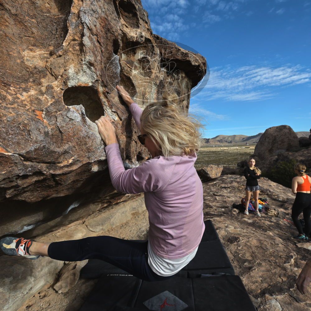 

Filename: SRM_20221203_0919460.jpg
Aperture: f/8.0
Shutter Speed: 1/1250
Body: Canon EOS R6
Lens: Canon EF 16-35mm f/2.8 L