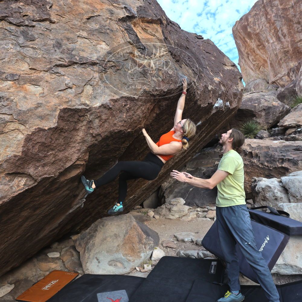 

Filename: SRM_20221203_0944170.jpg
Aperture: f/5.6
Shutter Speed: 1/1250
Body: Canon EOS R6
Lens: Canon EF 16-35mm f/2.8 L