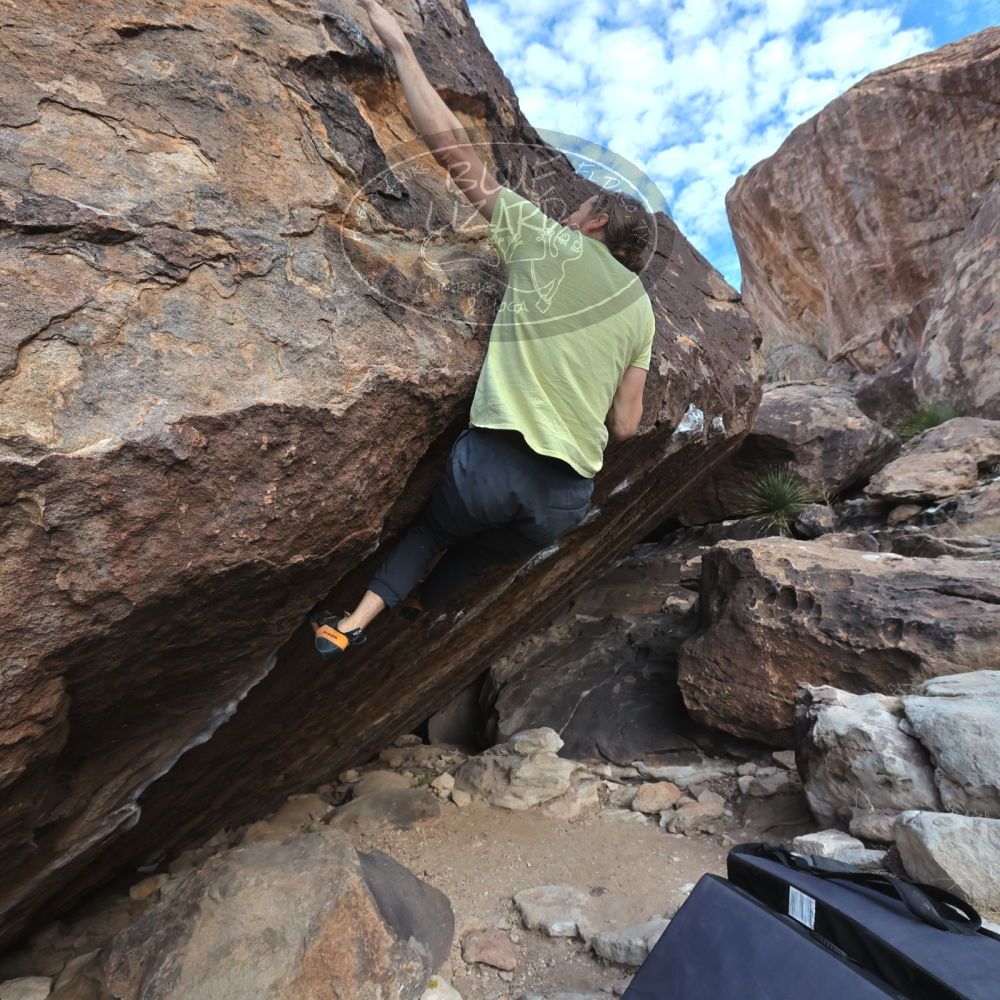 

Filename: SRM_20221203_0946170.jpg
Aperture: f/5.6
Shutter Speed: 1/1250
Body: Canon EOS R6
Lens: Canon EF 16-35mm f/2.8 L