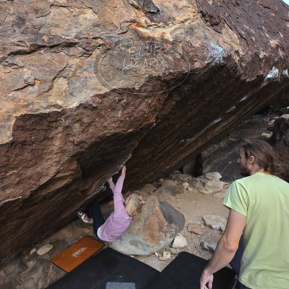 

Filename: SRM_20221203_0949210.jpg
Aperture: f/5.6
Shutter Speed: 1/640
Body: Canon EOS R6
Lens: Canon EF 16-35mm f/2.8 L