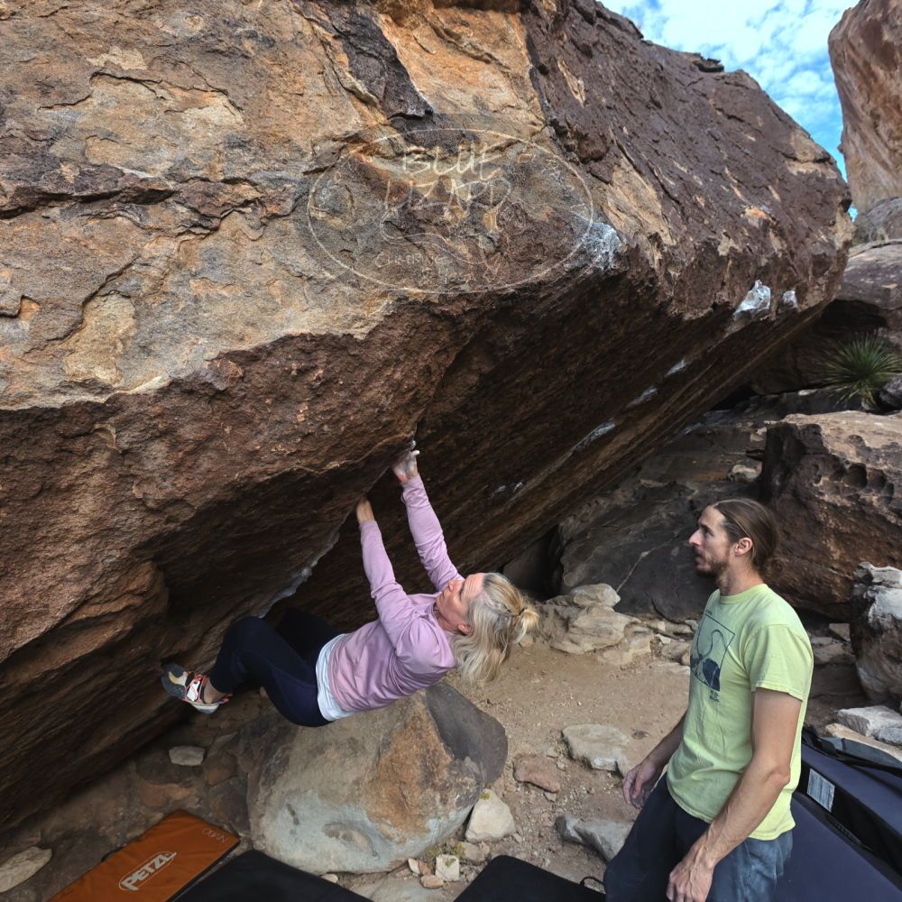 

Filename: SRM_20221203_0949280.jpg
Aperture: f/5.6
Shutter Speed: 1/640
Body: Canon EOS R6
Lens: Canon EF 16-35mm f/2.8 L