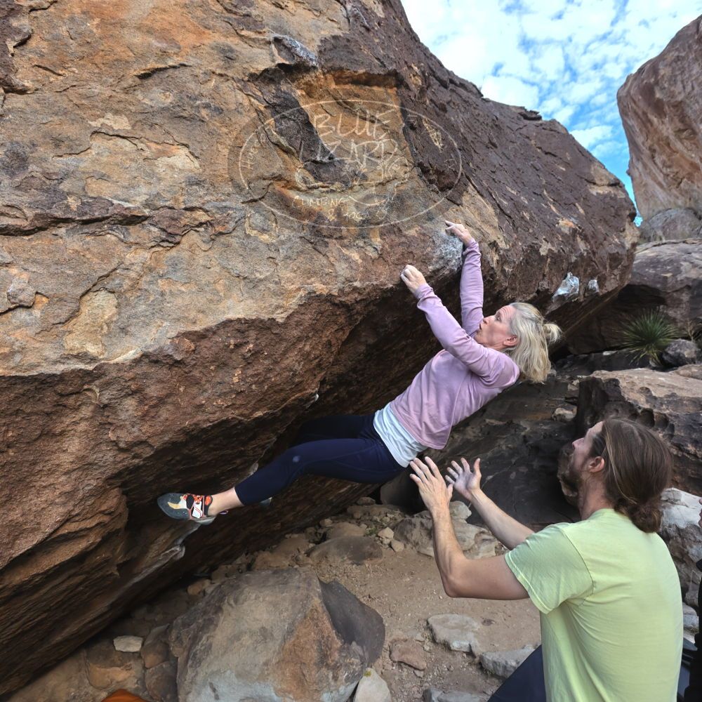 

Filename: SRM_20221203_0954280.jpg
Aperture: f/5.6
Shutter Speed: 1/640
Body: Canon EOS R6
Lens: Canon EF 16-35mm f/2.8 L