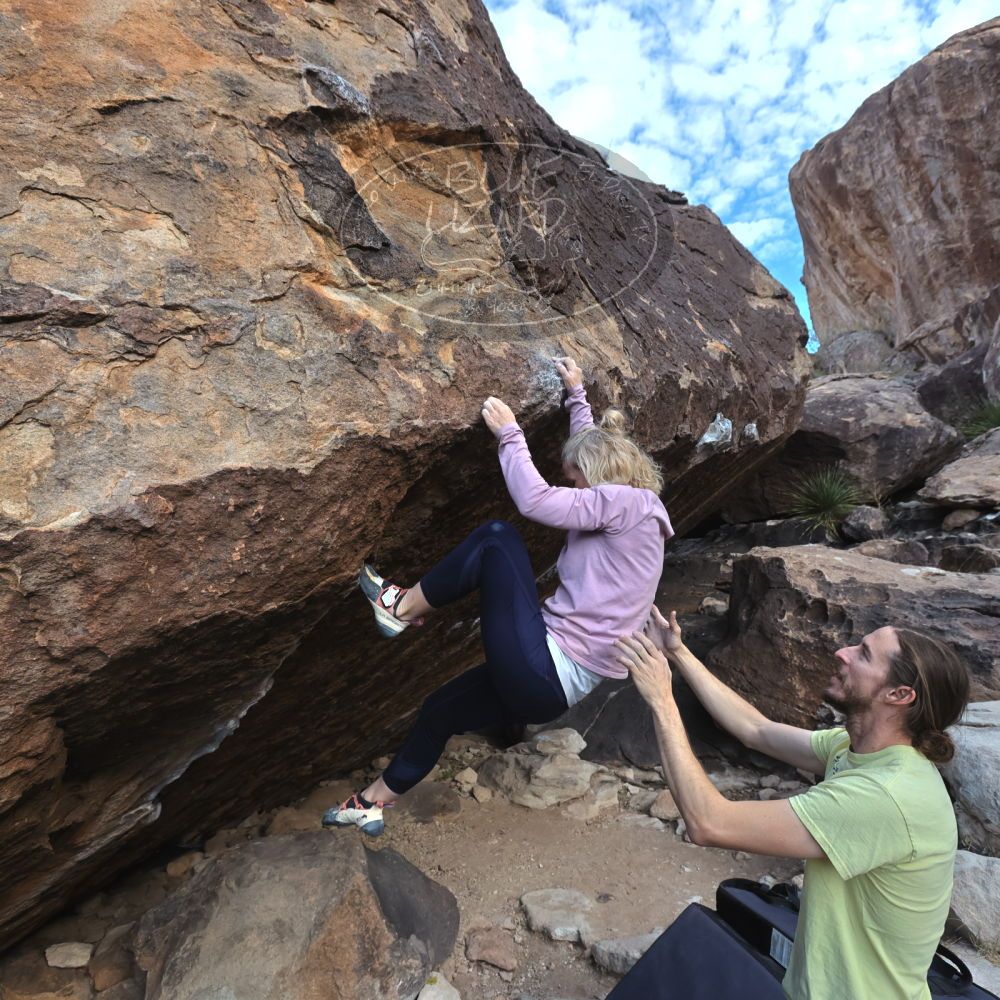 

Filename: SRM_20221203_0954310.jpg
Aperture: f/5.6
Shutter Speed: 1/640
Body: Canon EOS R6
Lens: Canon EF 16-35mm f/2.8 L