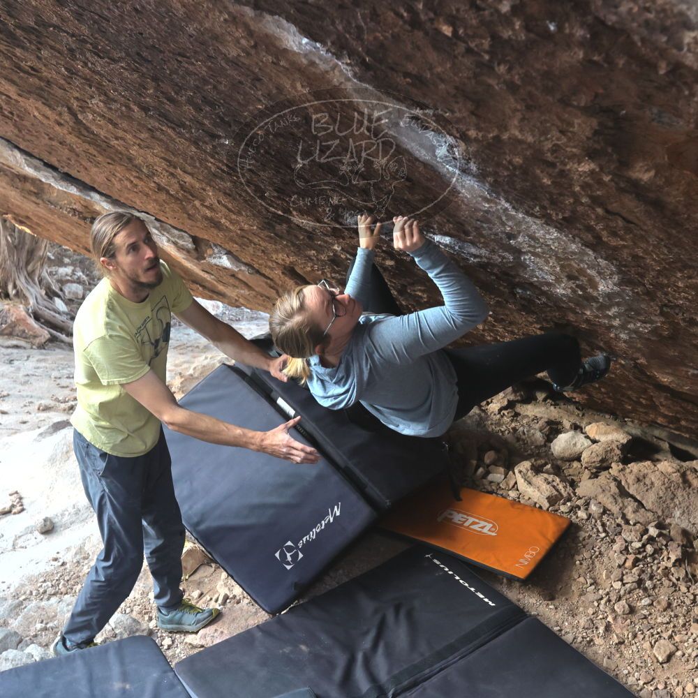 

Filename: SRM_20221203_1000570.jpg
Aperture: f/5.6
Shutter Speed: 1/800
Body: Canon EOS R6
Lens: Canon EF 16-35mm f/2.8 L