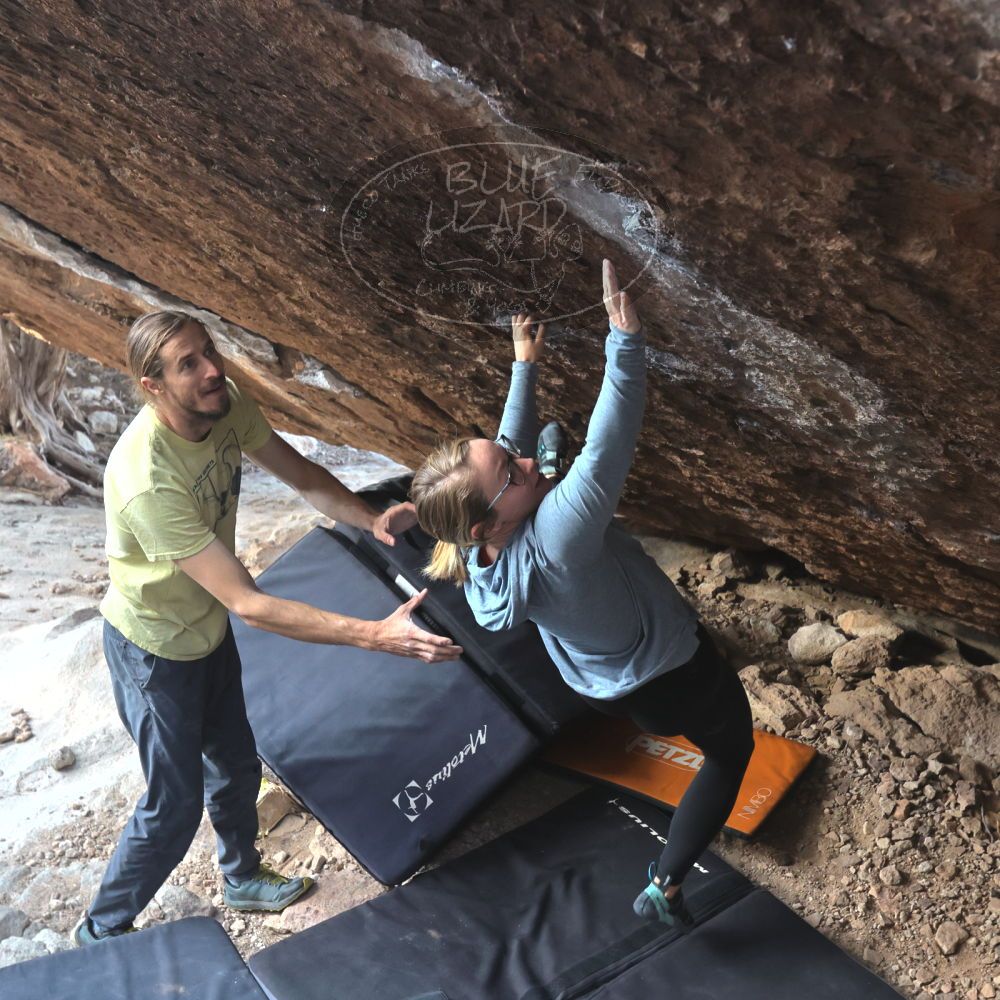 

Filename: SRM_20221203_1000572.jpg
Aperture: f/5.6
Shutter Speed: 1/800
Body: Canon EOS R6
Lens: Canon EF 16-35mm f/2.8 L