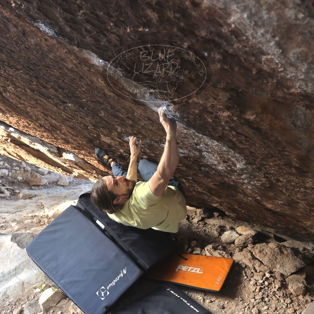 

Filename: SRM_20221203_1003260.jpg
Aperture: f/5.6
Shutter Speed: 1/800
Body: Canon EOS R6
Lens: Canon EF 16-35mm f/2.8 L