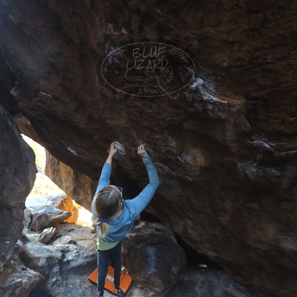 

Filename: SRM_20221203_1026520.jpg
Aperture: f/5.6
Shutter Speed: 1/800
Body: Canon EOS R6
Lens: Canon EF 16-35mm f/2.8 L