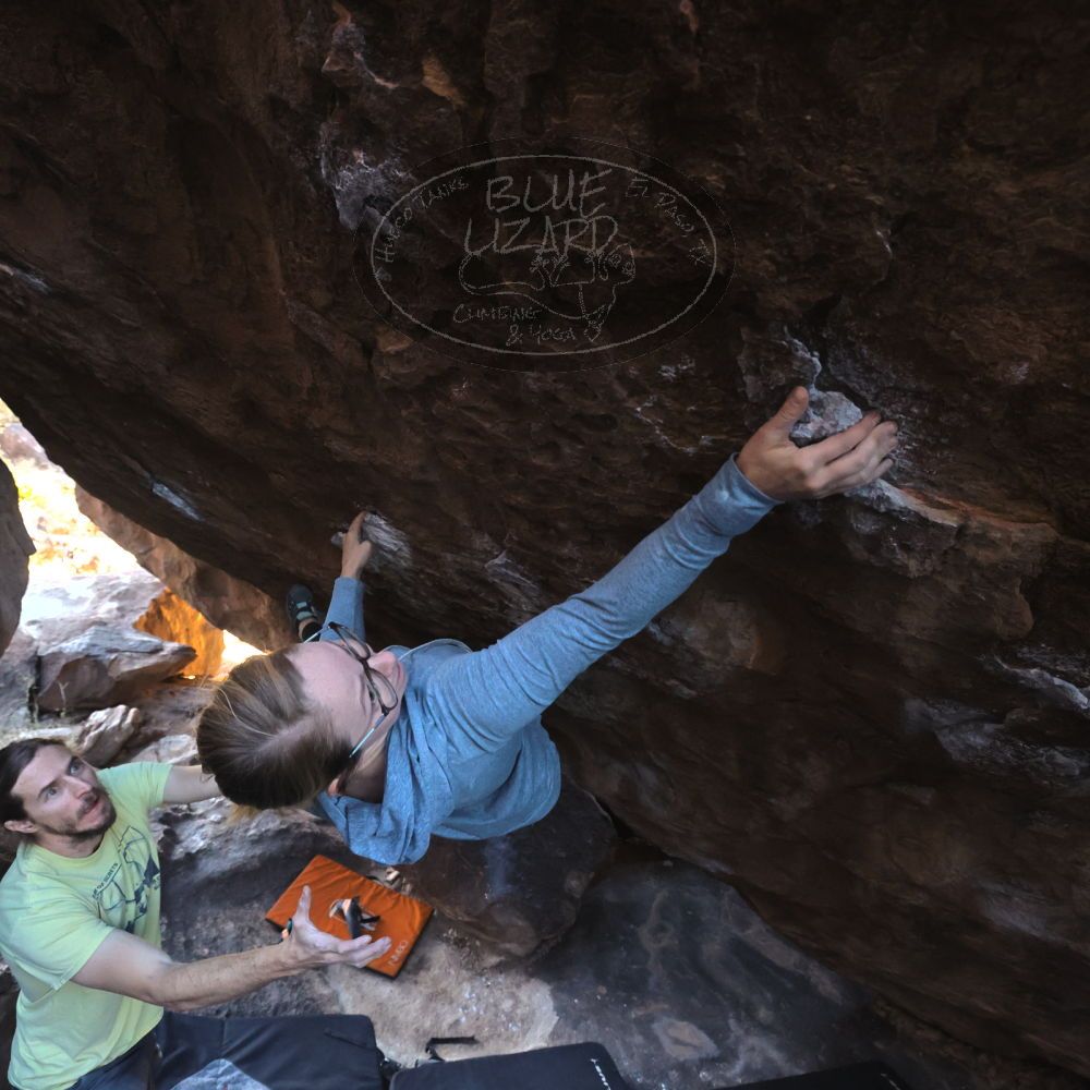 

Filename: SRM_20221203_1028111.jpg
Aperture: f/5.6
Shutter Speed: 1/800
Body: Canon EOS R6
Lens: Canon EF 16-35mm f/2.8 L