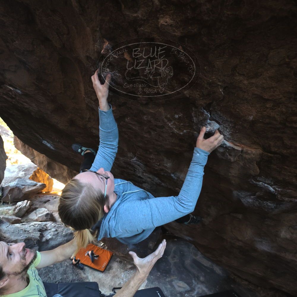 

Filename: SRM_20221203_1028230.jpg
Aperture: f/5.6
Shutter Speed: 1/800
Body: Canon EOS R6
Lens: Canon EF 16-35mm f/2.8 L