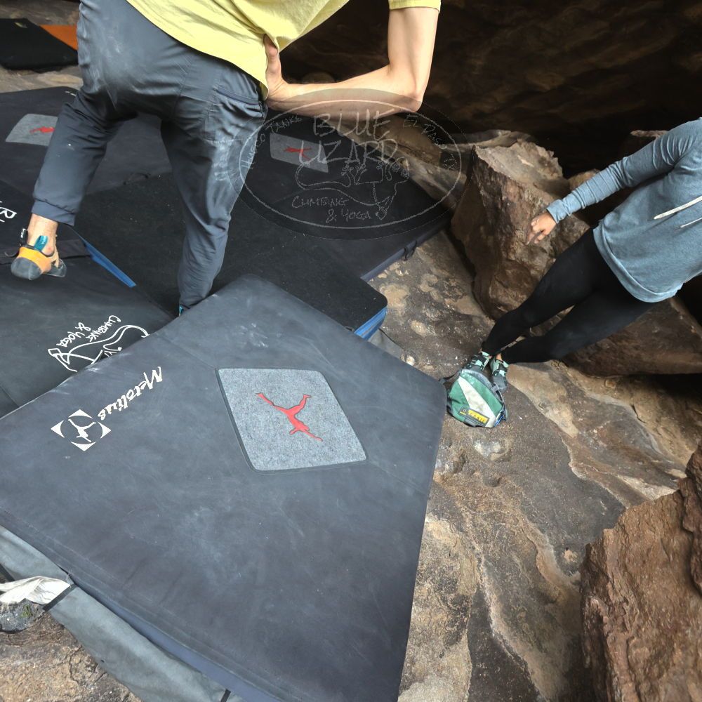 

Filename: SRM_20221203_1131400.jpg
Aperture: f/5.6
Shutter Speed: 1/800
Body: Canon EOS R6
Lens: Canon EF 16-35mm f/2.8 L