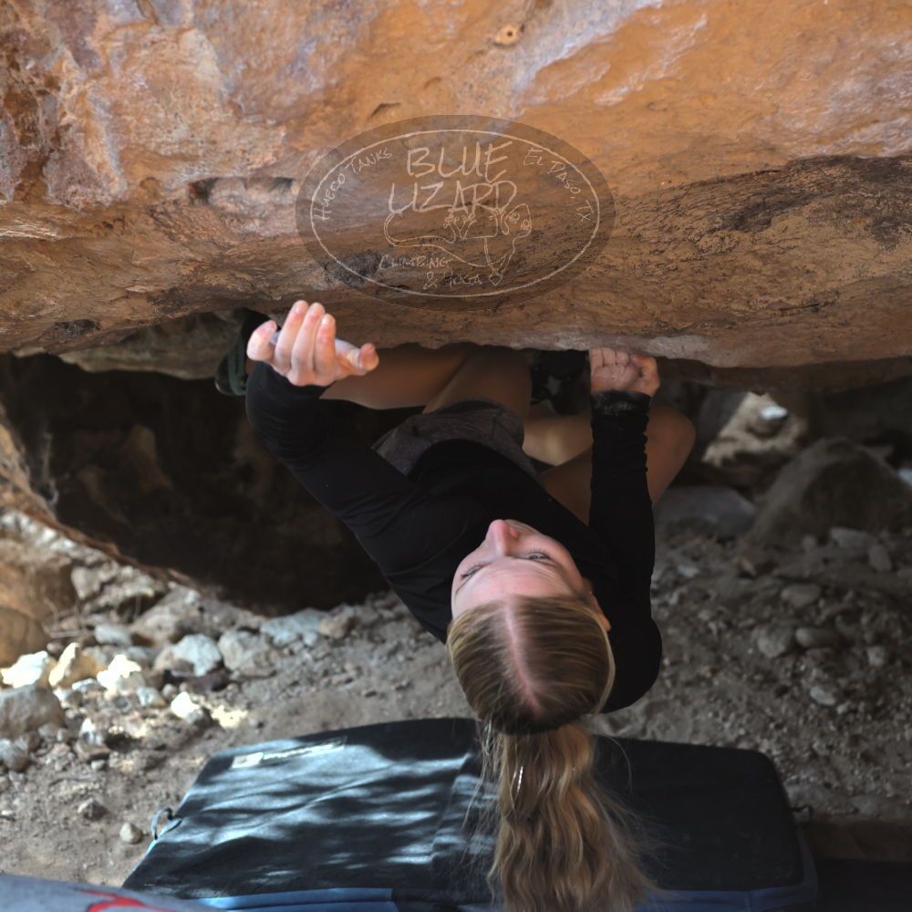 

Filename: SRM_20221203_1307450.jpg
Aperture: f/4.0
Shutter Speed: 1/800
Body: Canon EOS R6
Lens: Canon EF 50mm f/1.8 II