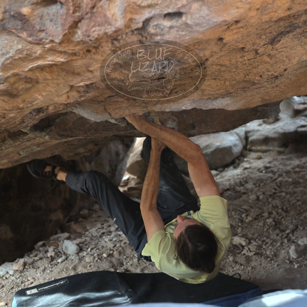 

Filename: SRM_20221203_1309550.jpg
Aperture: f/4.0
Shutter Speed: 1/800
Body: Canon EOS R6
Lens: Canon EF 50mm f/1.8 II