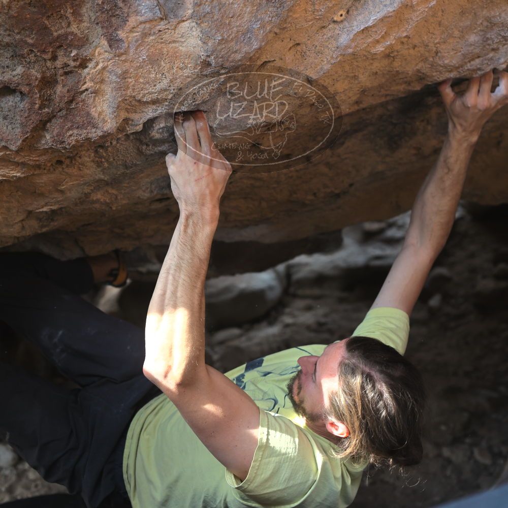 

Filename: SRM_20221203_1310110.jpg
Aperture: f/4.0
Shutter Speed: 1/800
Body: Canon EOS R6
Lens: Canon EF 50mm f/1.8 II