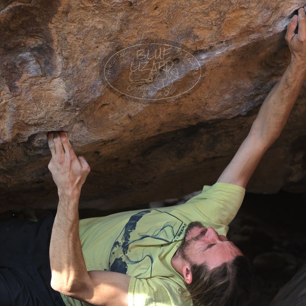 

Filename: SRM_20221203_1310121.jpg
Aperture: f/4.0
Shutter Speed: 1/800
Body: Canon EOS R6
Lens: Canon EF 50mm f/1.8 II