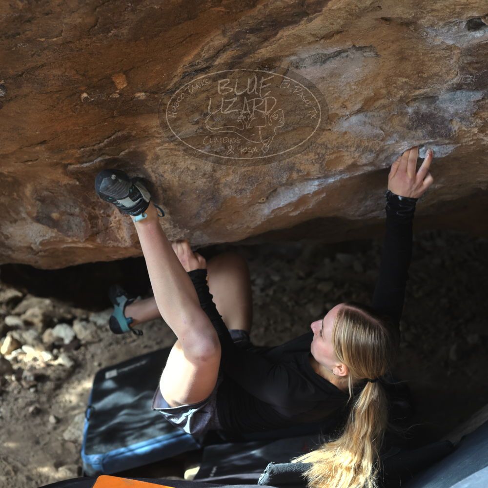 

Filename: SRM_20221203_1322201.jpg
Aperture: f/4.0
Shutter Speed: 1/800
Body: Canon EOS R6
Lens: Canon EF 50mm f/1.8 II