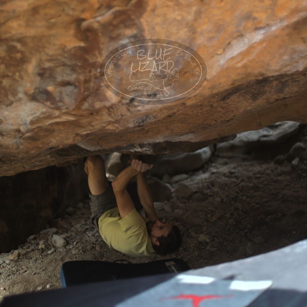 

Filename: SRM_20221203_1327280.jpg
Aperture: f/1.8
Shutter Speed: 1/800
Body: Canon EOS R6
Lens: Canon EF 50mm f/1.8 II