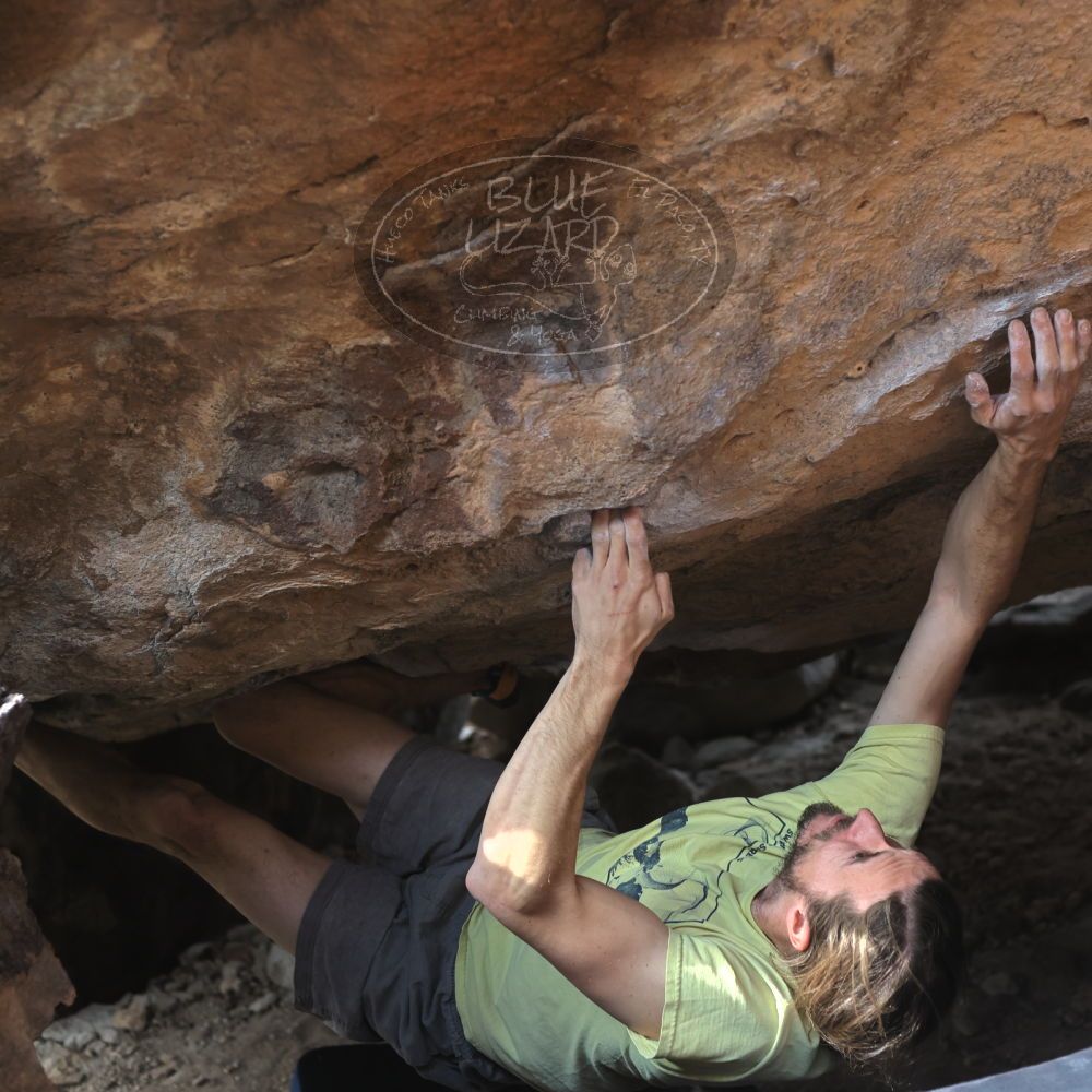 

Filename: SRM_20221203_1327490.jpg
Aperture: f/4.0
Shutter Speed: 1/800
Body: Canon EOS R6
Lens: Canon EF 50mm f/1.8 II