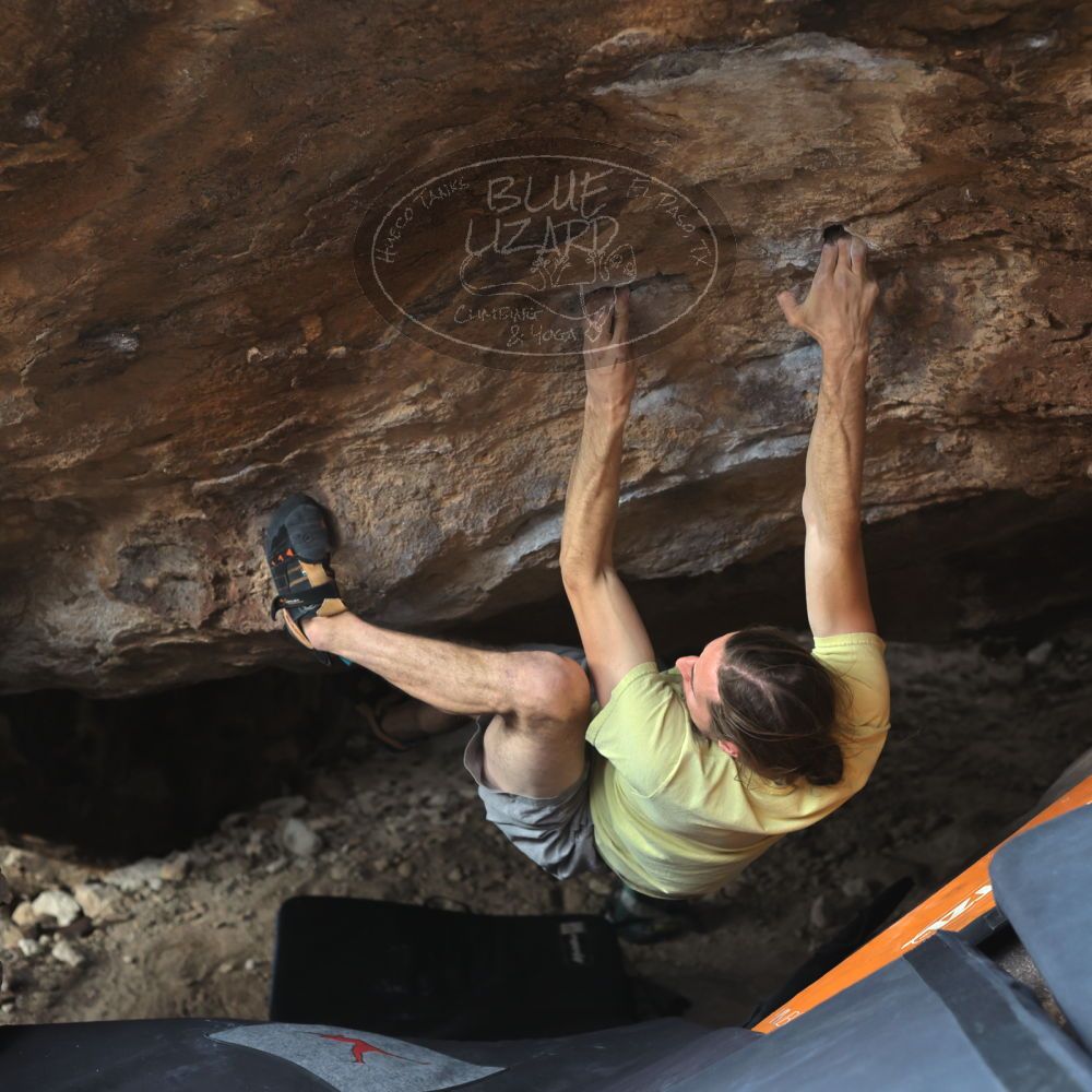 

Filename: SRM_20221203_1338100.jpg
Aperture: f/4.0
Shutter Speed: 1/800
Body: Canon EOS R6
Lens: Canon EF 50mm f/1.8 II