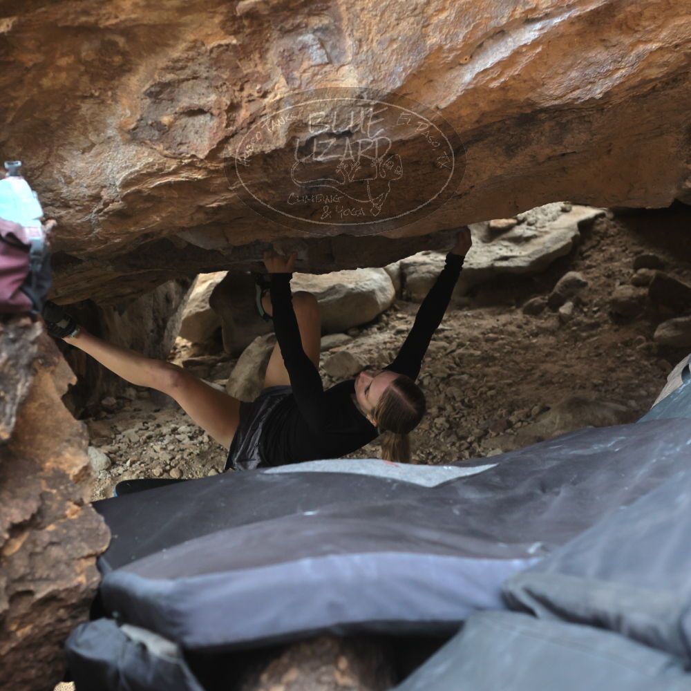 

Filename: SRM_20221203_1345480.jpg
Aperture: f/4.0
Shutter Speed: 1/800
Body: Canon EOS R6
Lens: Canon EF 50mm f/1.8 II