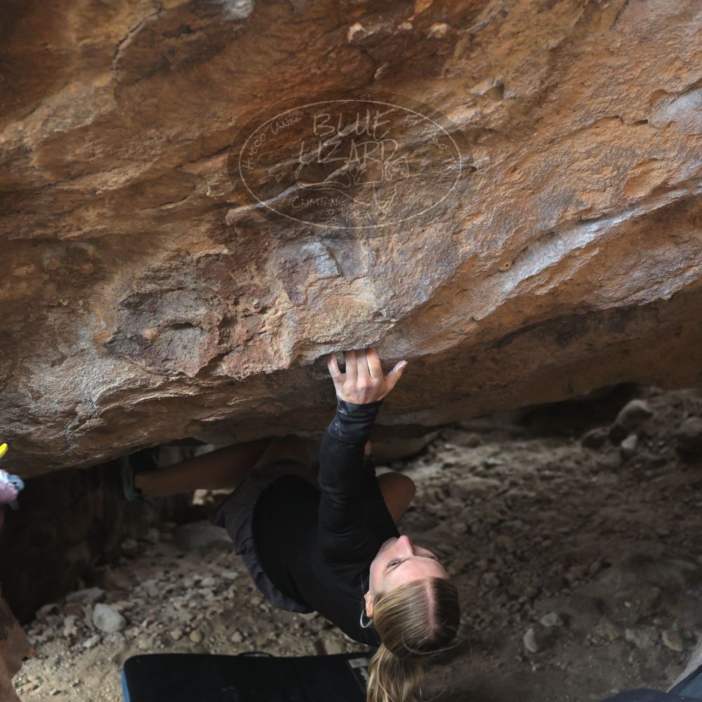 

Filename: SRM_20221203_1348451.jpg
Aperture: f/4.0
Shutter Speed: 1/800
Body: Canon EOS R6
Lens: Canon EF 50mm f/1.8 II