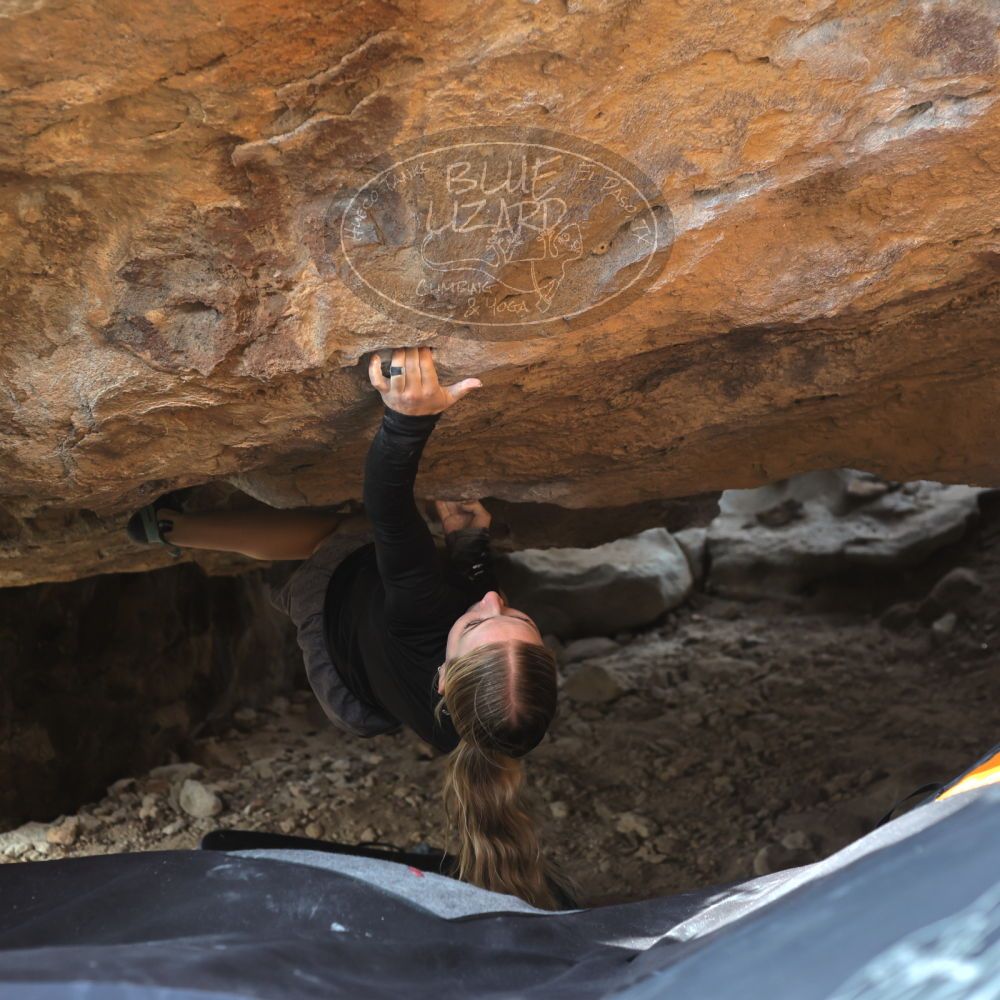 

Filename: SRM_20221203_1358250.jpg
Aperture: f/4.0
Shutter Speed: 1/800
Body: Canon EOS R6
Lens: Canon EF 50mm f/1.8 II